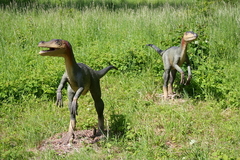 Killikus&reg; Fotographie